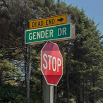 Pic of a stop sign and Gender Rd leading to a dead end